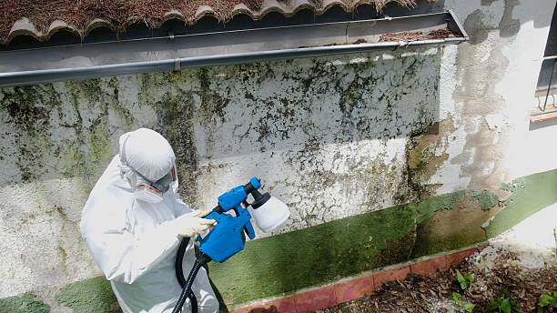 Clearance testing in Sea Cliff